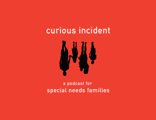 Empowered Advocacy: Jessica Salonus Shares Her Personal and Professional Journey on the Special Education Inner Circle Podcast